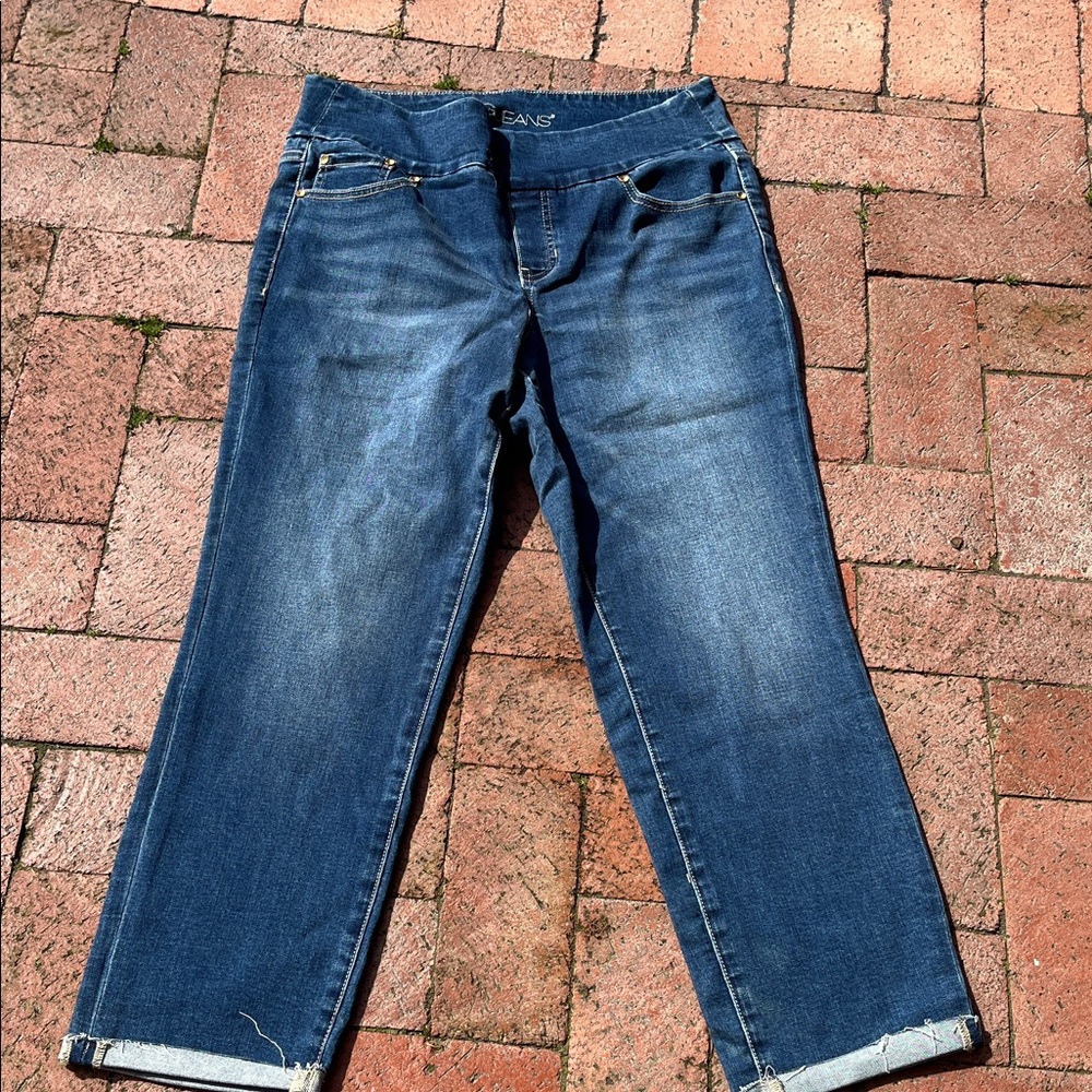 Jag Jeans Women's Straight Leg Denim